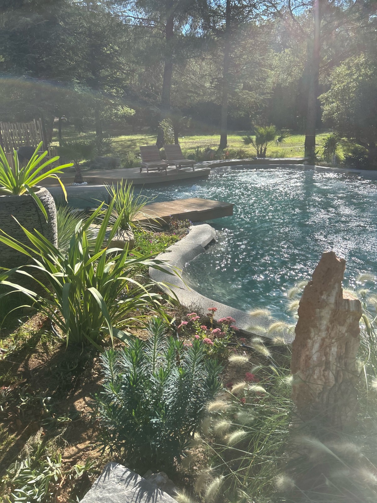 Piscinella Sud : Votre piscine naturelle sur mesure dans le Var, les Bouches-du-Rhône, les Alpes-Maritimes et en Corse