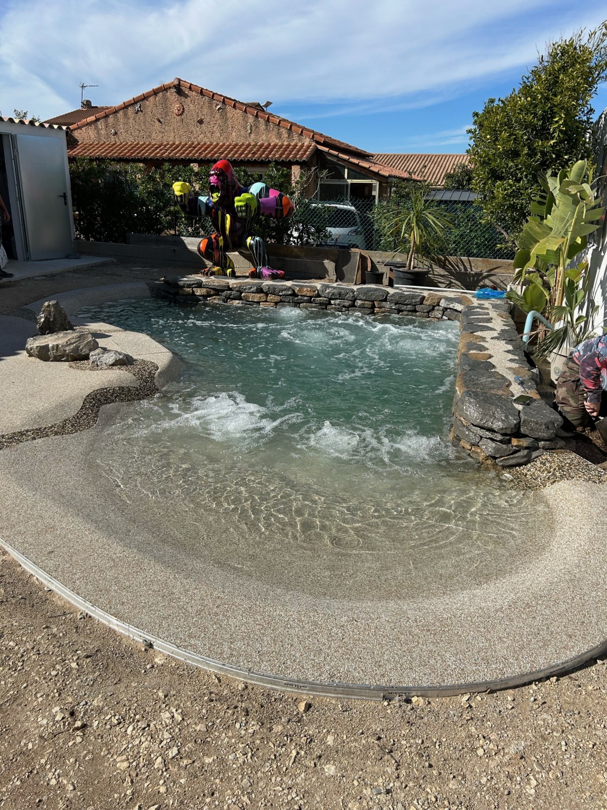 Piscinella Sud : L'excellence des piscines naturelles