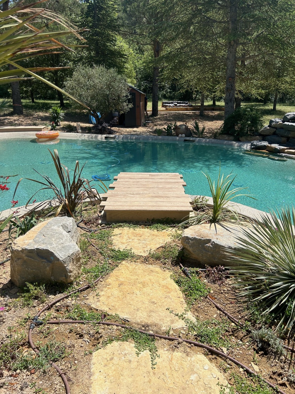 Piscinella Sud : Votre piscine naturelle sur mesure dans le Var, les Bouches-du-Rhône, les Alpes-Maritimes et en Corse