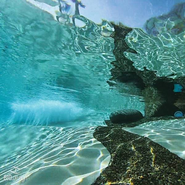 Piscinella Sud : Le spécialiste de la piscine lagon écologique et bien-être.