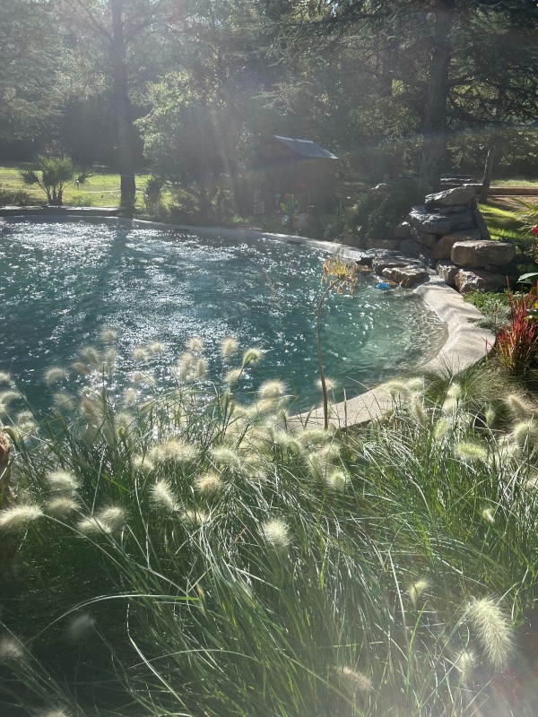 Piscinella Sud : Votre piscine naturelle sur mesure dans le Var, les Bouches-du-Rhône, les Alpes-Maritimes et en Corse
