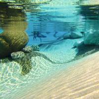 Nos prestations sur le secteur de à Aix-en-Provence 13100